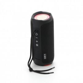 T&G227 Portable Bluetooth Speaker Wireless Bass With LED Color Light, Subwoofer Outdoor Waterproof Column Boombox Stereo Music FM
